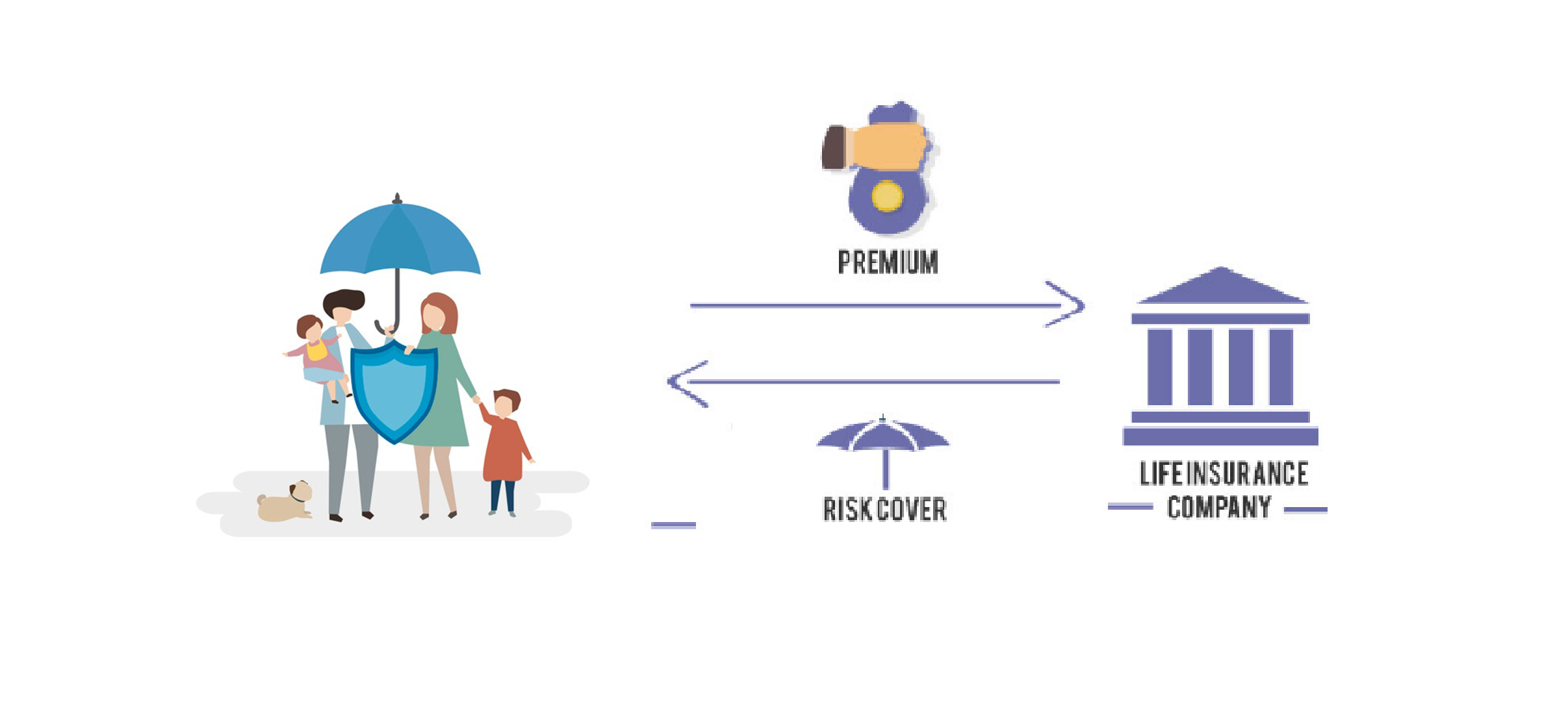Compare Life Insurance Companies Nz / The Biggest Life